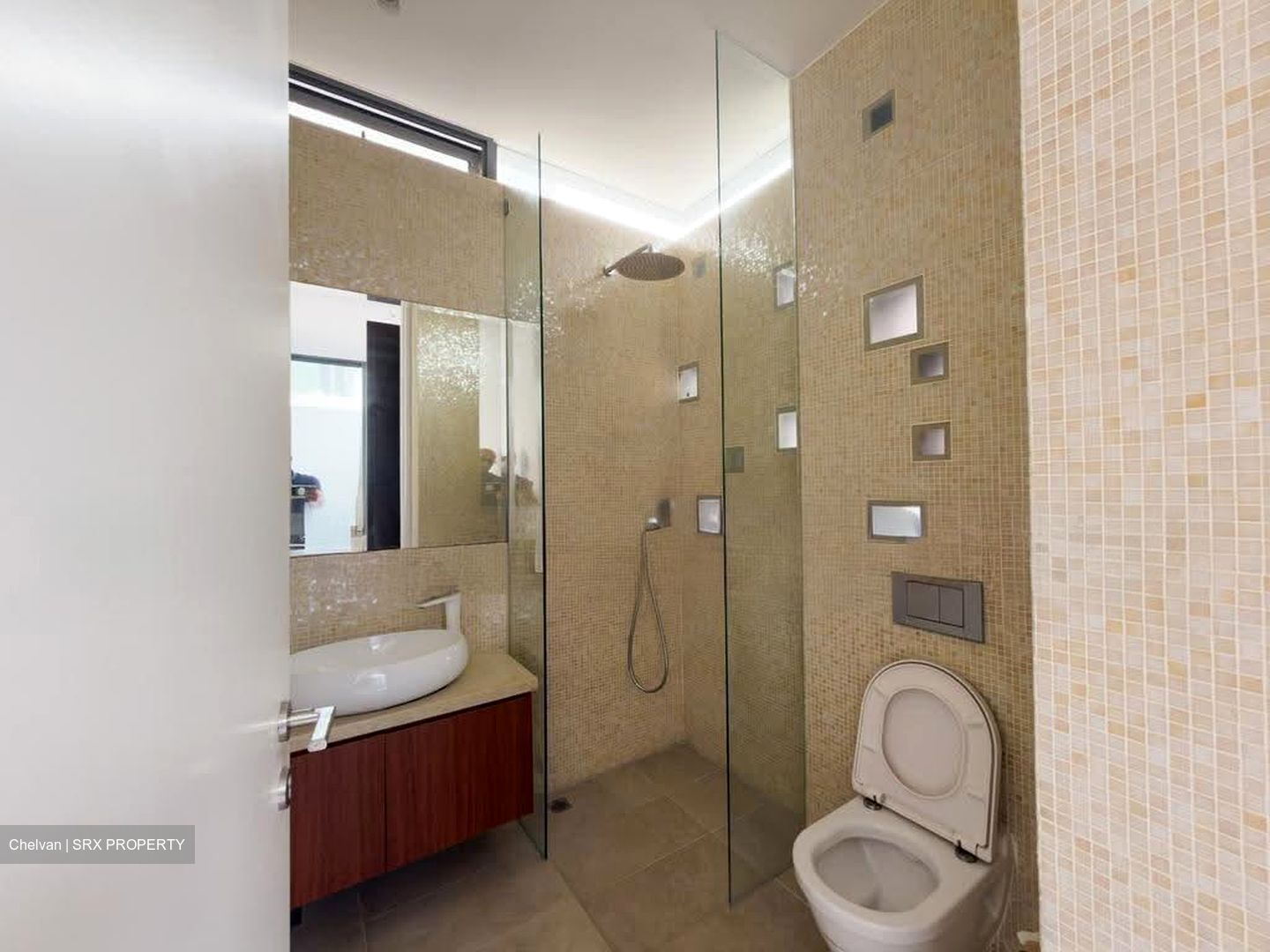 Toh Estate (D17), Semi-Detached #628966091